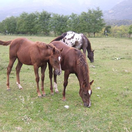 Agriturismo al Ranch Castello dʼAviano Exterior foto