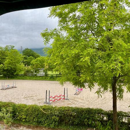 Agriturismo al Ranch Castello dʼAviano Exterior foto