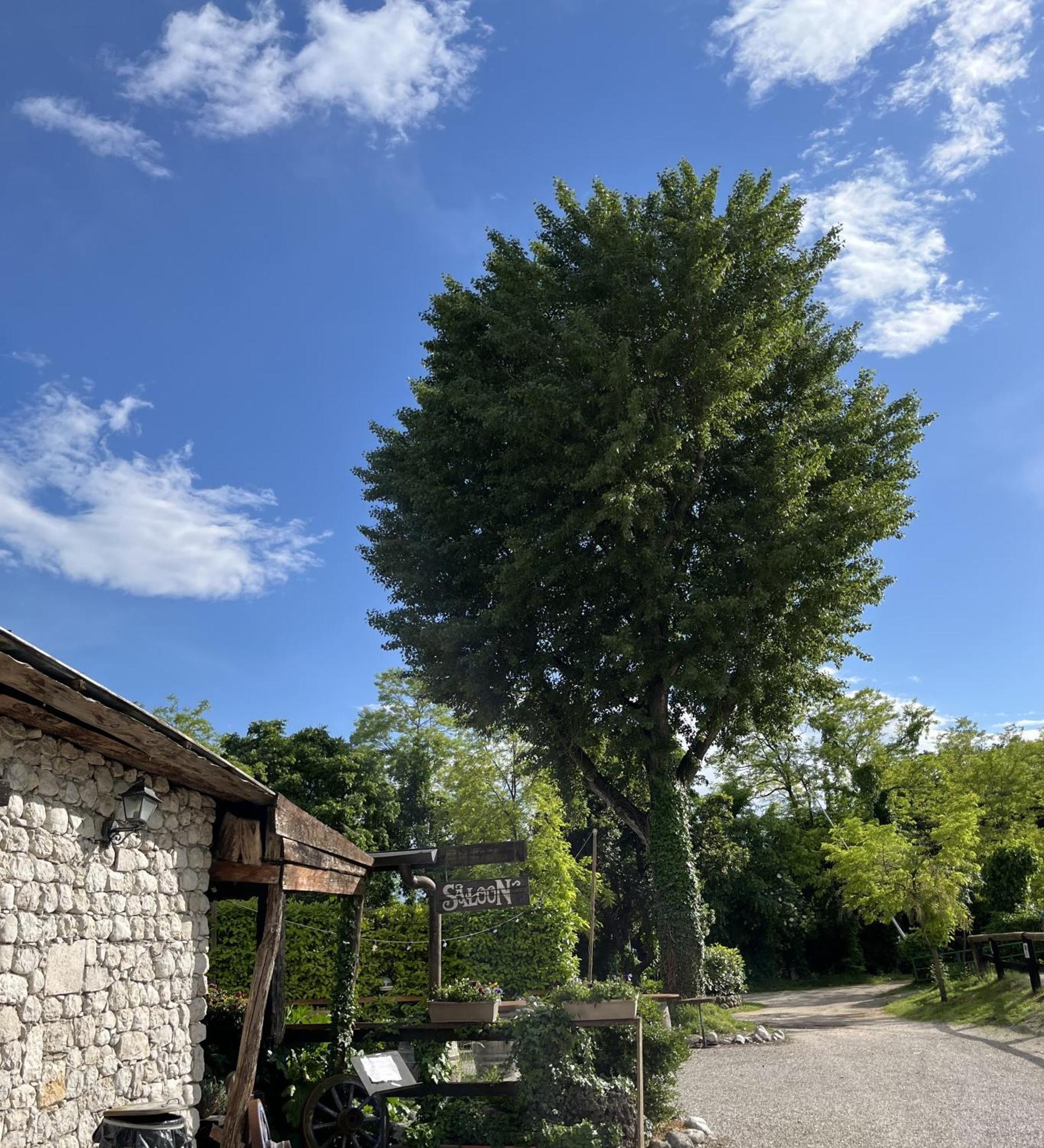 Agriturismo al Ranch Castello dʼAviano Exterior foto