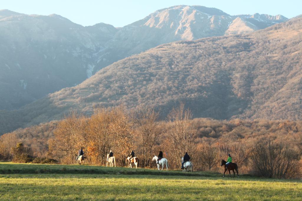 Agriturismo al Ranch Castello dʼAviano Exterior foto